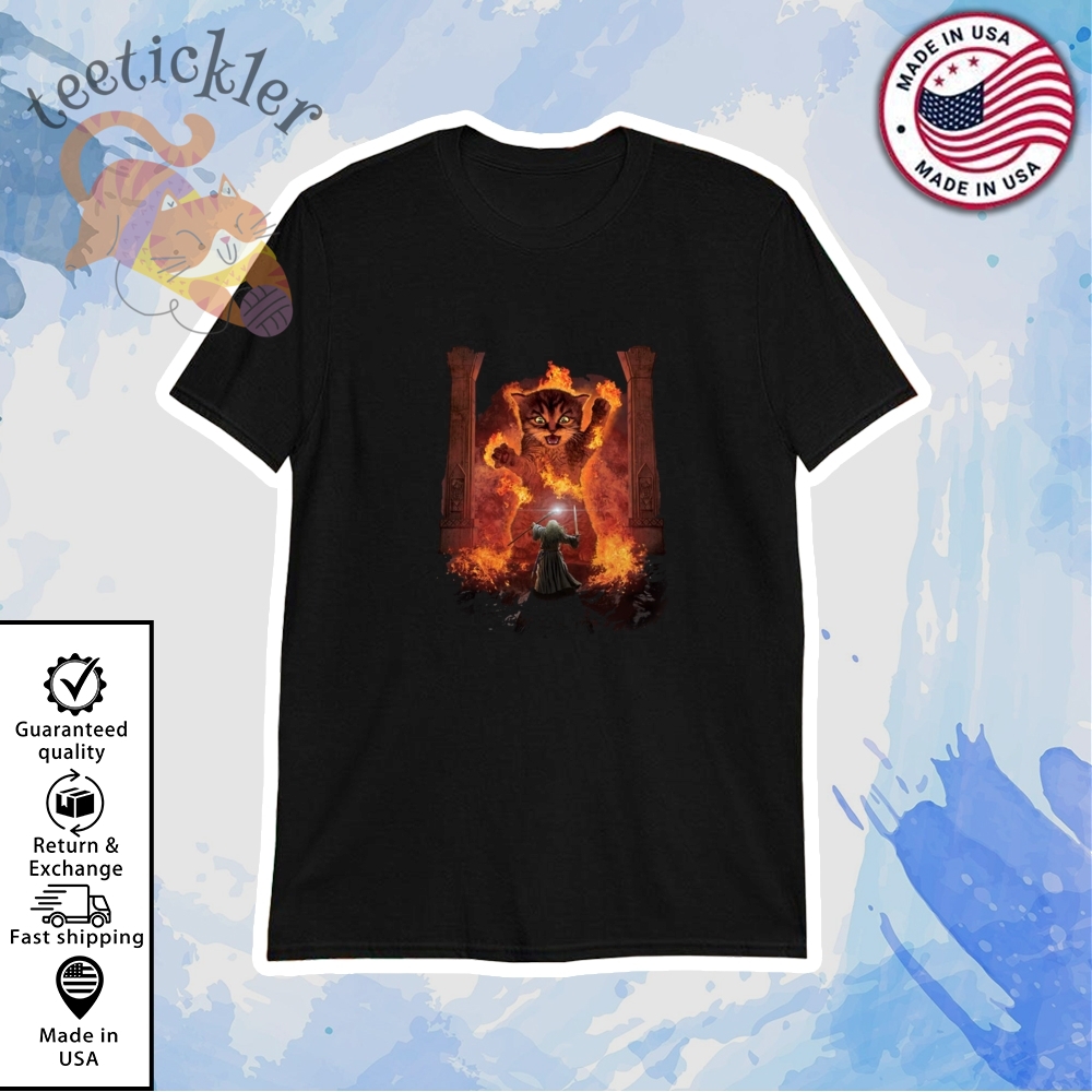 Cats Kittens Kitty You Shall Not Pass Fire Flames Gandalf Catdalf Frodo Lord Of The Rings Shirt