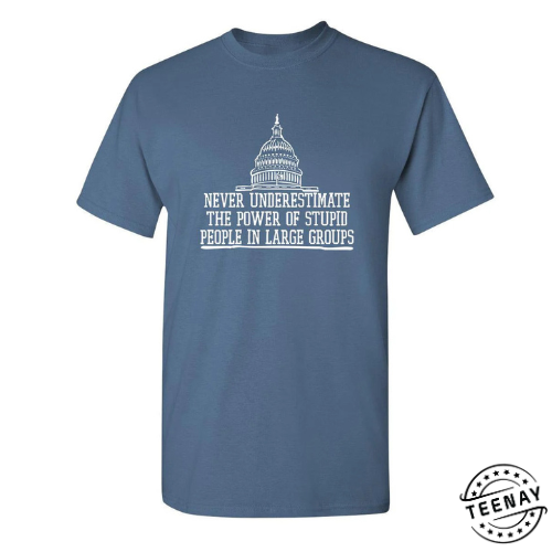 Never Underestimate The Power Of Stupid People In Large Groups T Shirt teenay.com 1