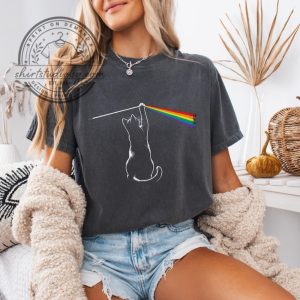 Funny Cat Lover Gift, Prism Cat Graphic Tshirt 1 Funny Cat Lover Gift Prism Cat Graphic Tshirt shirtstudiobg.com 1