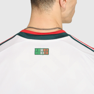 mexi5