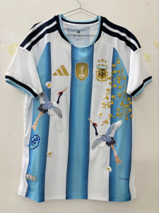 Argentina Heritage Edition Soccer Jersey – Vintage National Team Fan Shirt 10 Argentina Heritage Edition Soccer Jersey featuring classic sky blue and white stripes with elegant crane artwork and gold detailing, worn by a model in an outdoor lifestyle setting.
