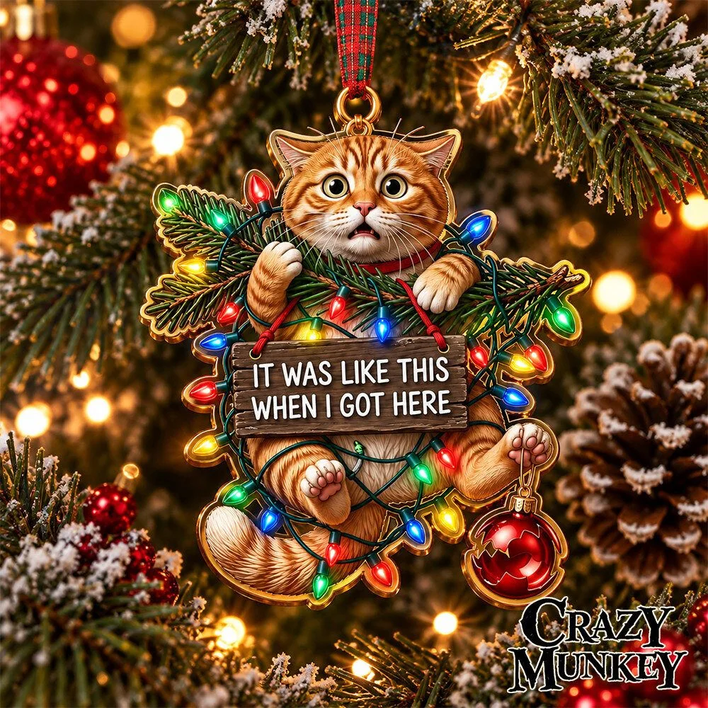 It Was Like This When I Got Here Cat Concept Fan Ornament | Home Decor