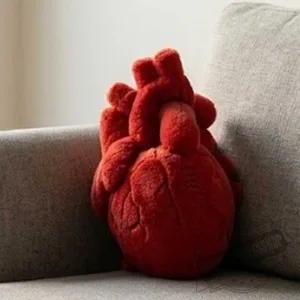 Anatomical Heart Plush Toy