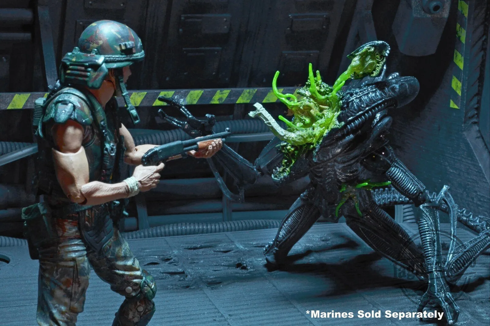 Alien Xenomorph Warrior Battle Damaged Action Figure Collectible 11 Alien Xenomorph Warrior Battle Damaged Action Figure Collectible