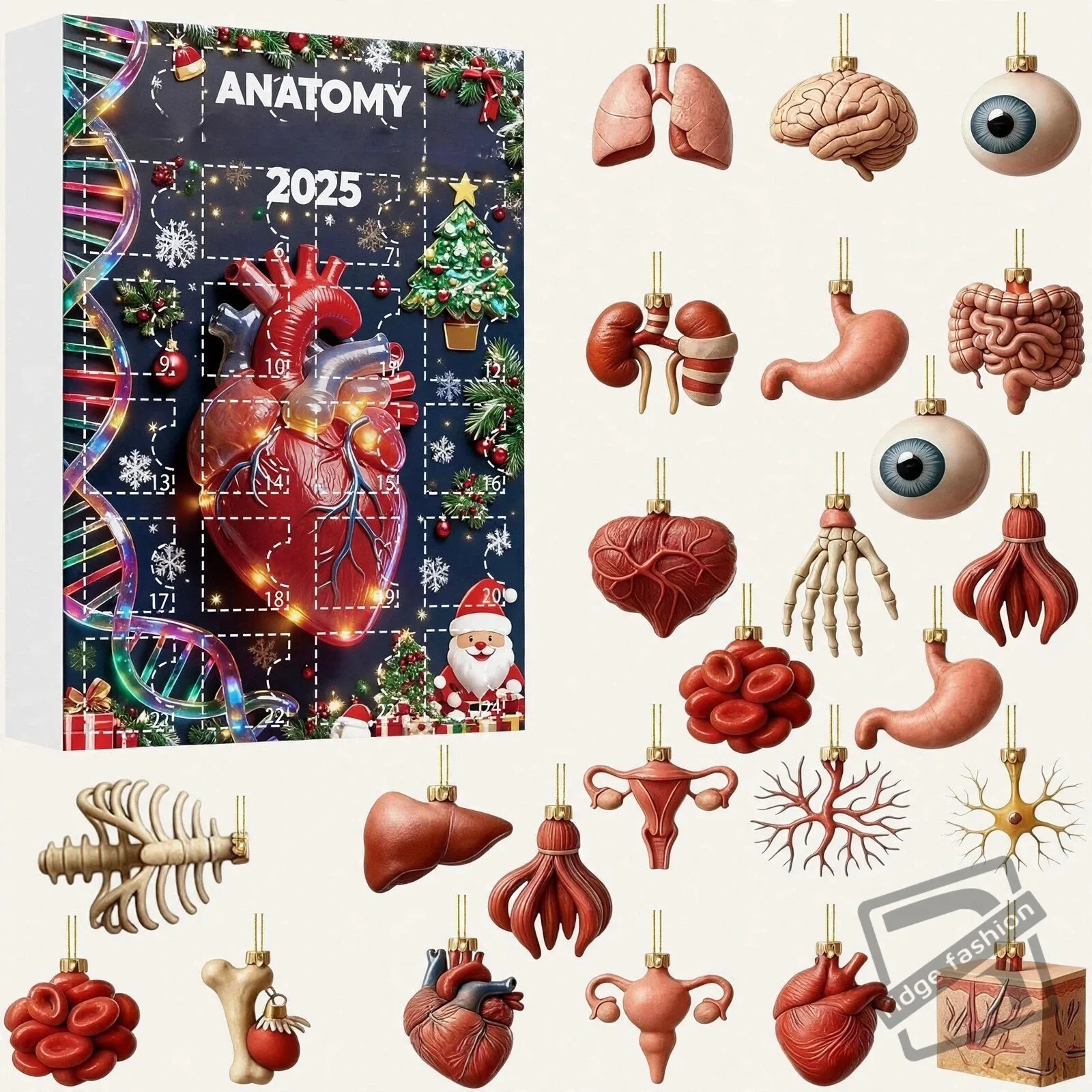 Christmas Countdown Calendar 2D 2025 Anatomy Figurines 4 Christmas Countdown Calendar 2D 2025 Anatomy Figurines product view