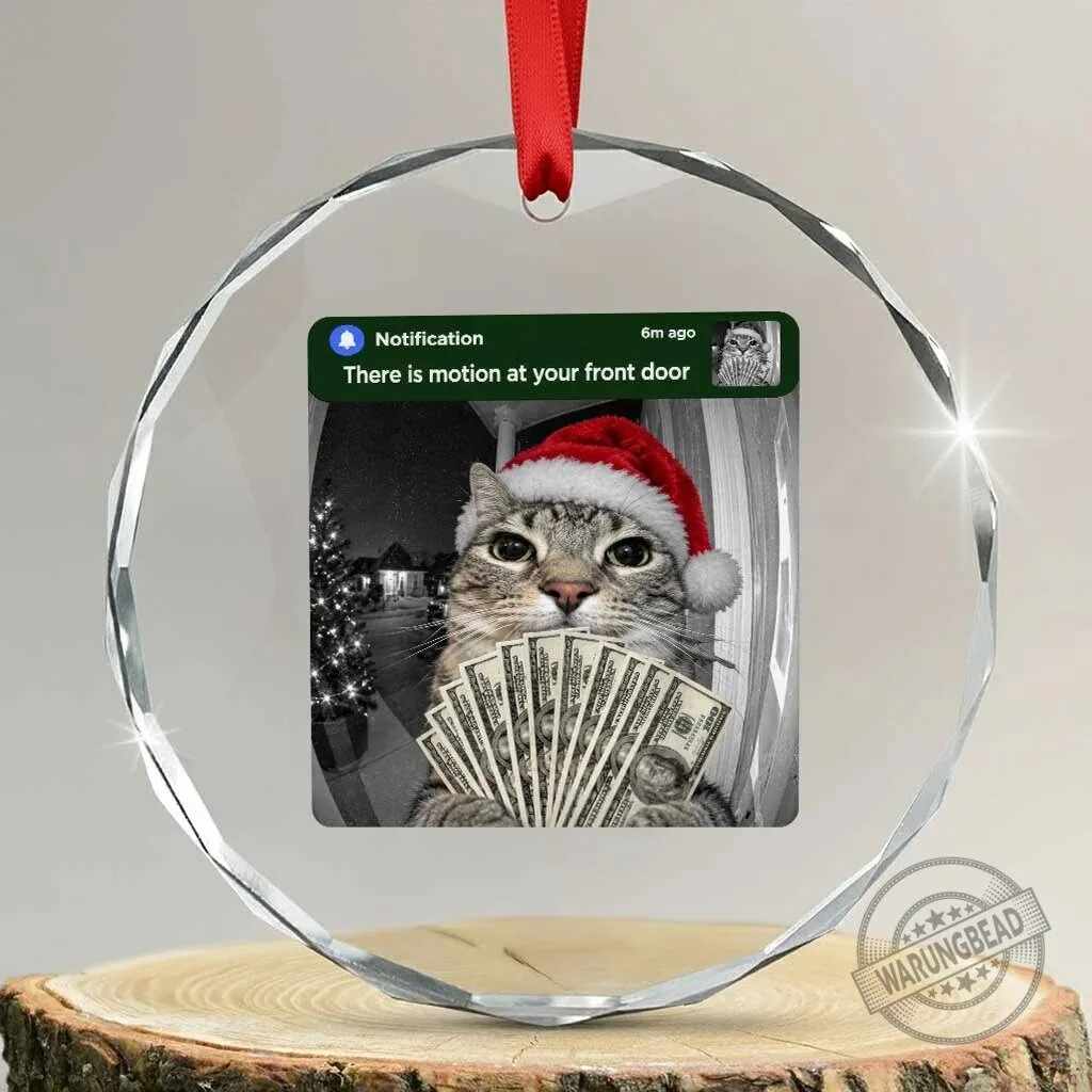 Funny Christmas Cat Motion At Your Front Door Ring Camera Meme Crystal Glass Ornament